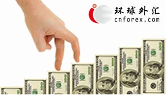 美元走强凸显风险厌恶 BK资产管理视角下的资产配置策略